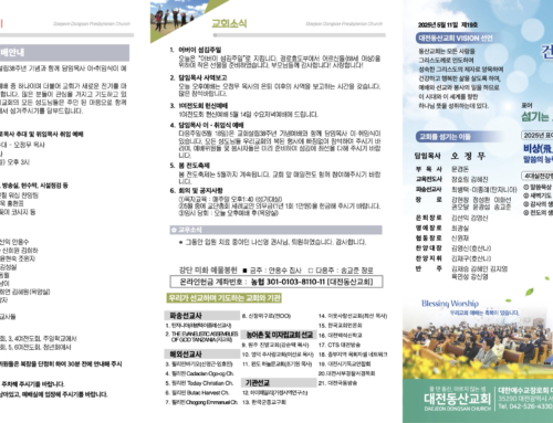 2025.5.11 온라인주보