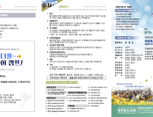 2025.6.1 온라인주보