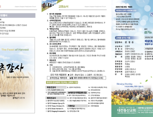 2025.6.29 온라인주보