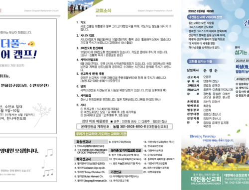 2025.6.8 온라인주보