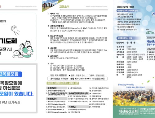 2025.8.17 온라인주보