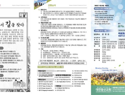 2025.11.23 온라인주보