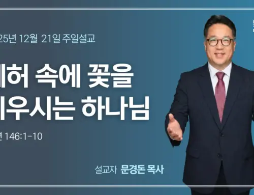 폐허 속에 꽃을 피우시는 하나님