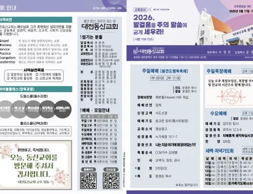 2026.5.17 온라인주보