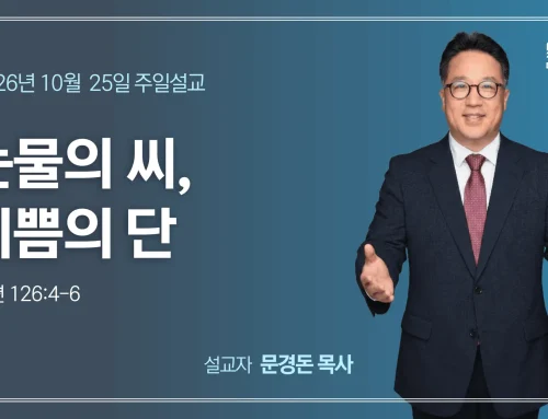 눈물의 씨, 기쁨의 단